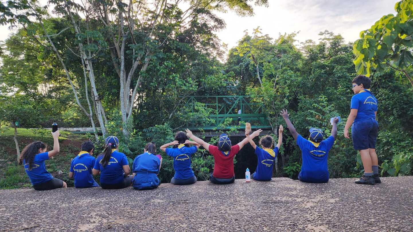 Escoteiros olhando a natureza